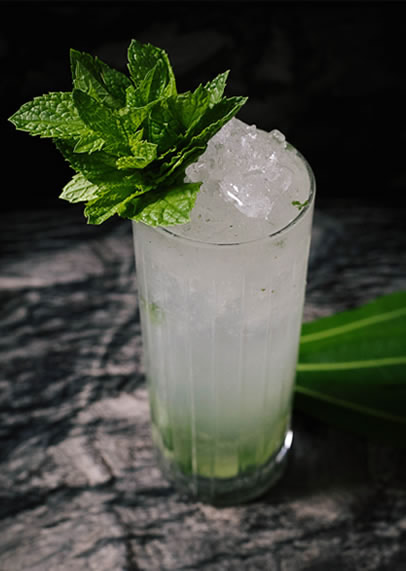 Mojito